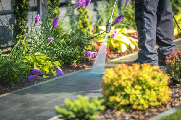 Best Patio and Deck Pressure Washing  in Sa Conejo, CA